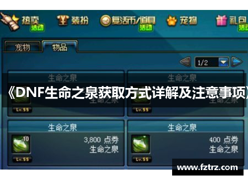 《DNF生命之泉获取方式详解及注意事项》