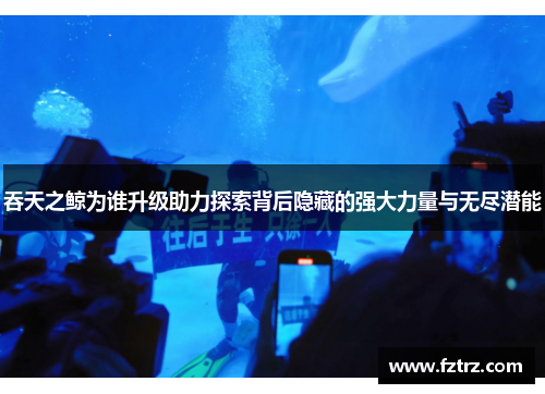 吞天之鲸为谁升级助力探索背后隐藏的强大力量与无尽潜能